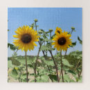 Recherche de sunflower puzzles Nature