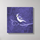 Search for blue jay canvas prints Animals