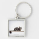 Search for board the keychains Cute