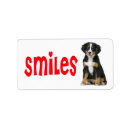 Search for mountain mama stickers Berner