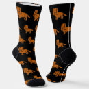 Search for spaniel socks Cavalier king charles spaniel