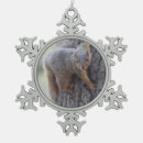 Recherche de écureuil de ornements Nature
