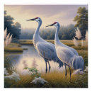 Recherche de grue posters Nature