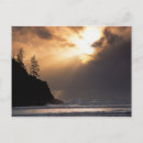 Search for oregon state postcards Sunset