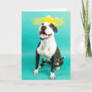 Recherche de chien jaune vœux cartes Pitbull