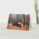 Search for black bear christmas cards Wildlife