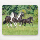 Search for horse mousepads Gallop
