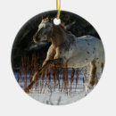 Search for appaloosa horse ornaments Bob langrish