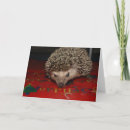 Search for hedgehog christmas cards Hedgie