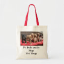 Recherche de pitbull sacs Chiens