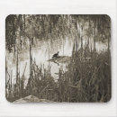 Search for turtles mousepads Wildlife