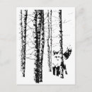 Recherche de renard moderne cartes postales Animaux