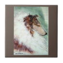 Search for collie tiles Nature