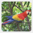 Search for wild side stickers Wildlife