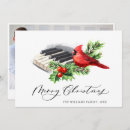 Search for red cardinal bird cards Country