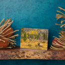 Recherche de wapiti plaques Cathy