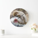 Recherche de monkey le photographie Photographie de la nature