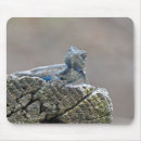 Recherche de lézard bleu tapis souris Pour tous