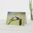 Recherche de birdy vœux cartes Oiseau