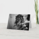 Search for black white photography cards Kitten