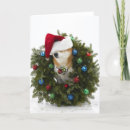 Search for shiba inu christmas cards Full length