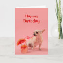 Search for cocktail birthday cards Funny