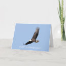 Search for happy fathers day eagle Dad