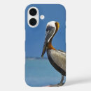 Recherche de pélicans iphone coques Plage