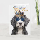 Search for portuguese birthday cards Portuguese water dog