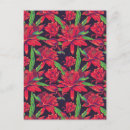 Recherche de de colibri cartes postales Tropicale