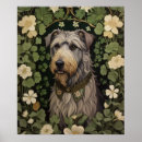 Recherche de shamrocks posters Plante