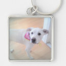 Search for sweet dog keychains Adorable
