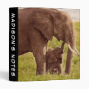 Search for mara binders Kenya