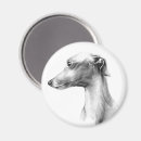 Recherche de whippets magnets Mignon