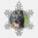 Recherche de malinois belges ornements Pour tous