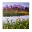 Recherche de marais carreaux Nature