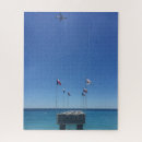 Recherche de côte puzzles Palmiers