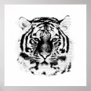 Search for black white tiger posters Portrait