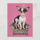 Recherche de de chiwawa cartes postales Chiot