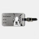 Search for boston terrier gifts Dogs