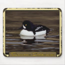 Search for water bird electronics Wildlife