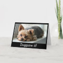 Search for yorkie birthday cards Puppy