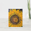 Search for sunflower note Nature