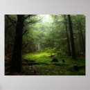 Recherche de auvergne posters Nature