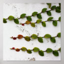 Search for fig art Leaves