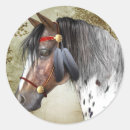 Search for appaloosas stickers Indian