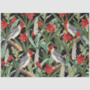 Search for cardinal tissue paper Modern