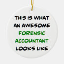 Search for accountant ornaments Accounting