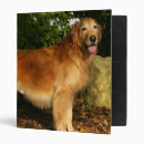 Search for dog standard binders Golden retriever
