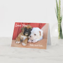 Recherche de de boxeur cartes vœux cartes Chien